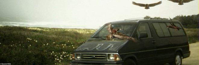 #Filme aus der Hölle: Birdemic: Shock and Terror