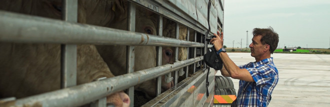 #Manfred Karremann: ‚Mich hat ein Hähnchen auf einem LKW mit ausgerenktem Bein nachhaltig beschäftigt‘ #Manfred Karremann: ‚Mich hat ein Hähnchen auf einem LKW mit ausgerenktem Bein nachhaltig beschäftigt‘