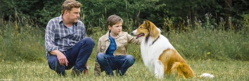 Lassie - Eine abenteuerliche Reise (DVD ...